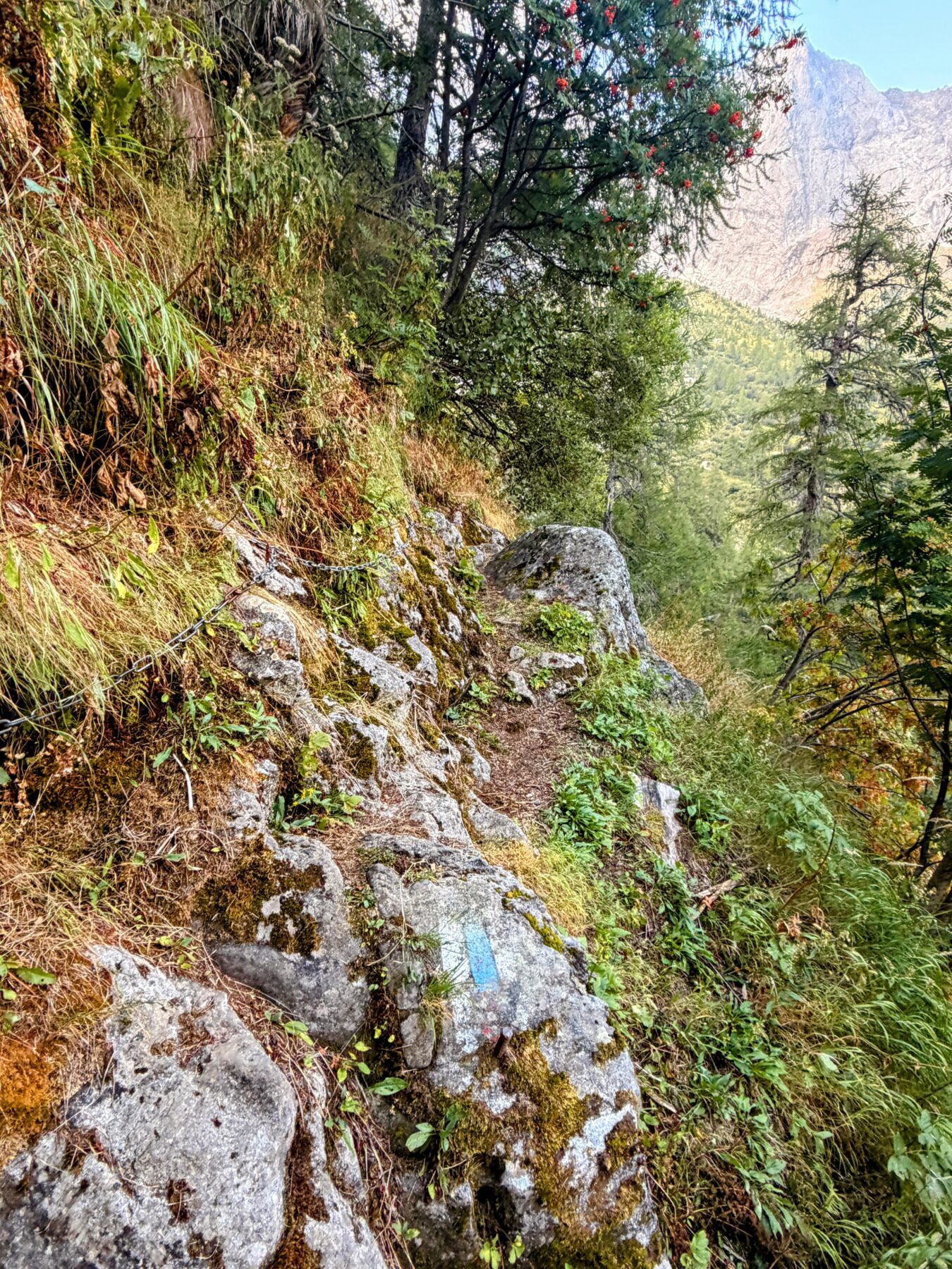 wanderung_sentiero_alpino_bregaglia_sasc_furae_huette_bondo__IMG_0551