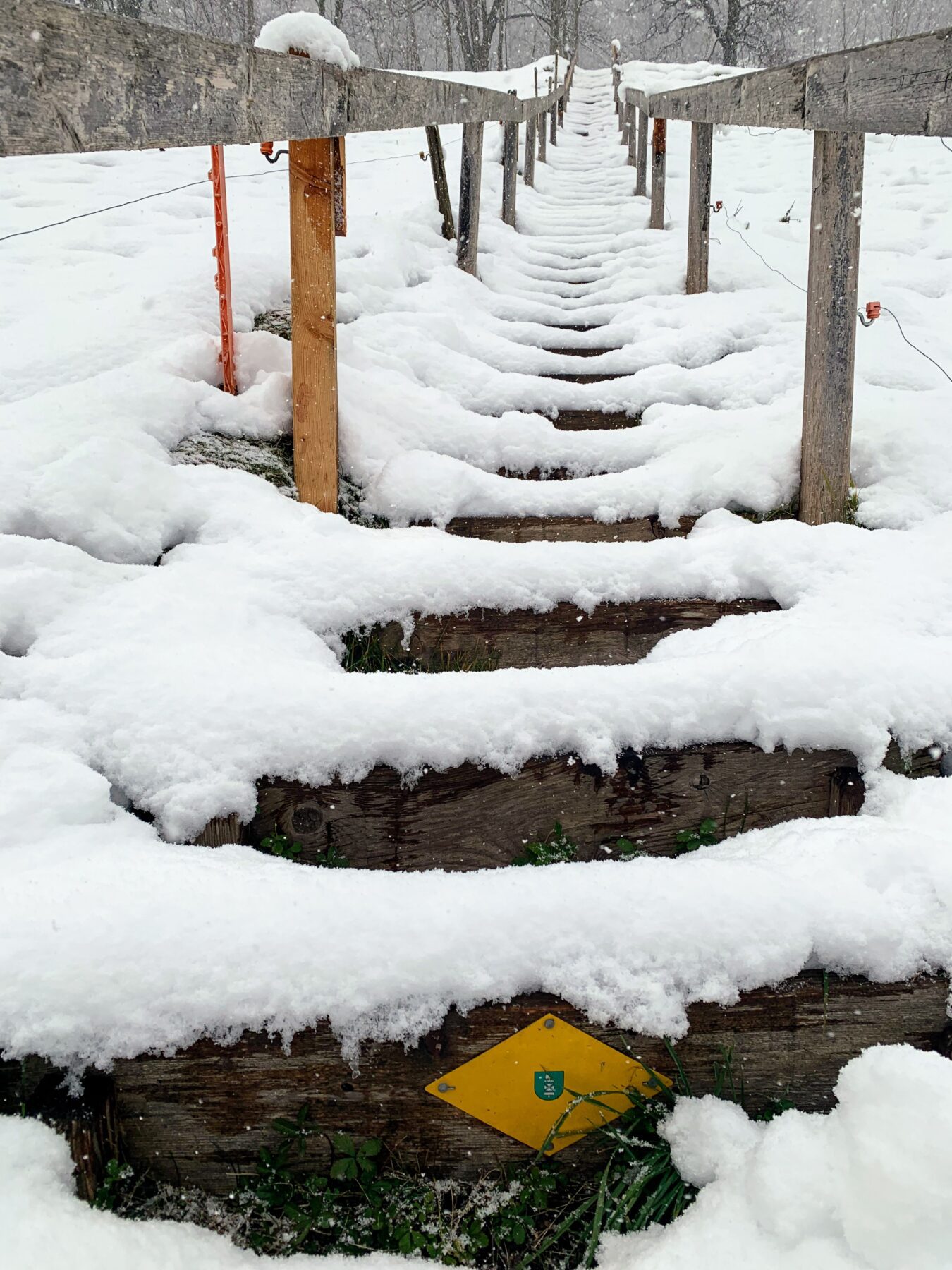 via_alpina_etappe_1_gaflei_sargans_