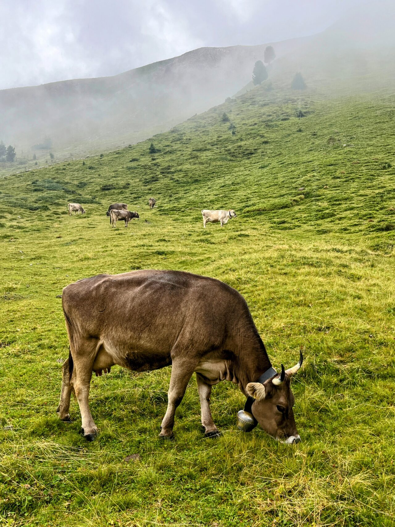 Wanderung_parc_ela_trek_tag_4_elahuette_filisur_
