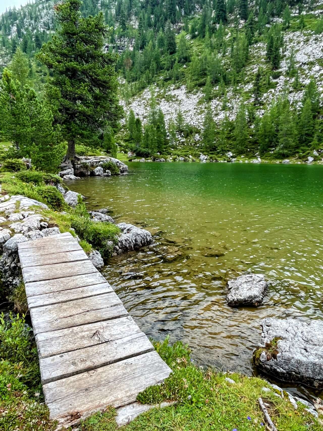 wanderung_dolomiten_hoehenweg_1_etappe_2_rifugio_sennes_rifugio_lavarella_