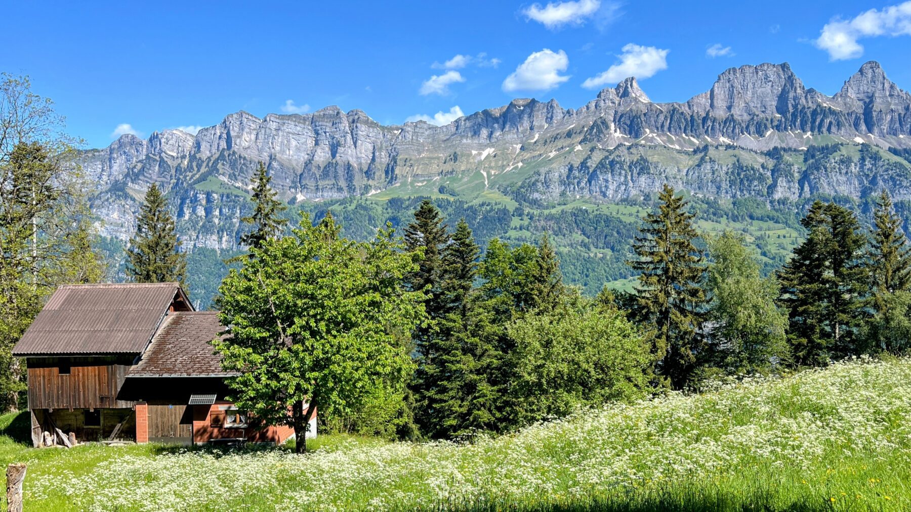 wanderung_unterterzen_tannenboden_