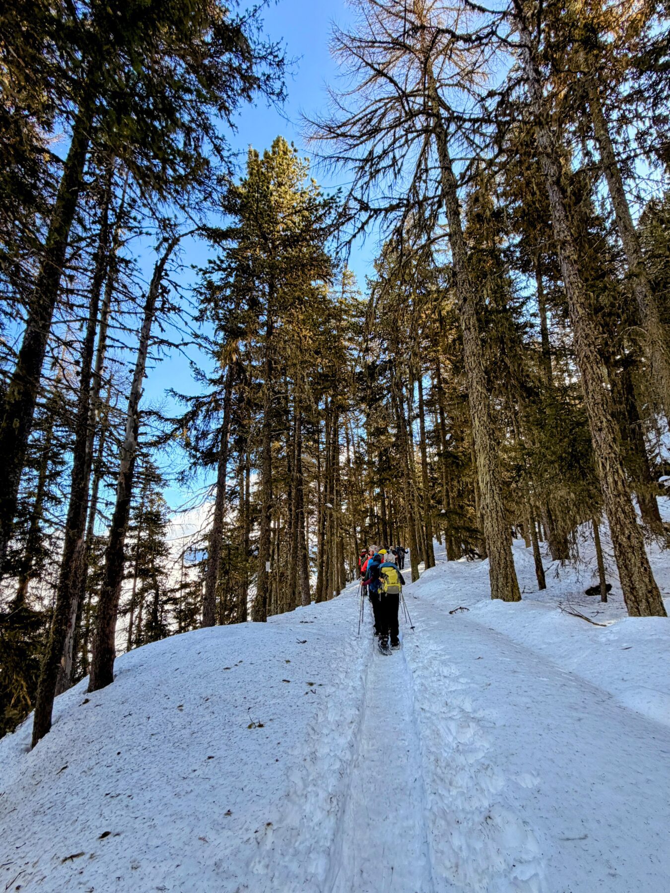 schneeschuhwanderung_buerchen_stand_