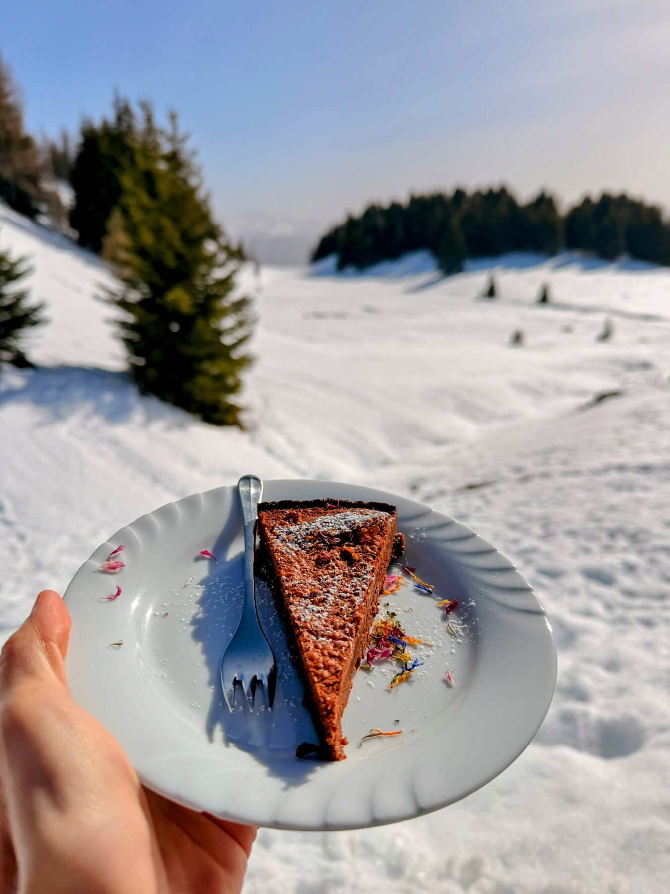 schneeschuhsafari_graubuenden_braembruesch_feldis__IMG_0581