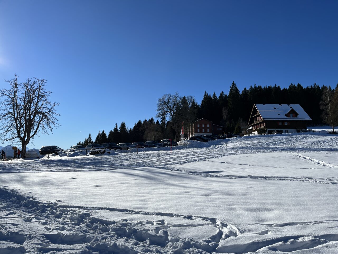 schneeschuhwandern_gottschalkenberg__IMG_0701