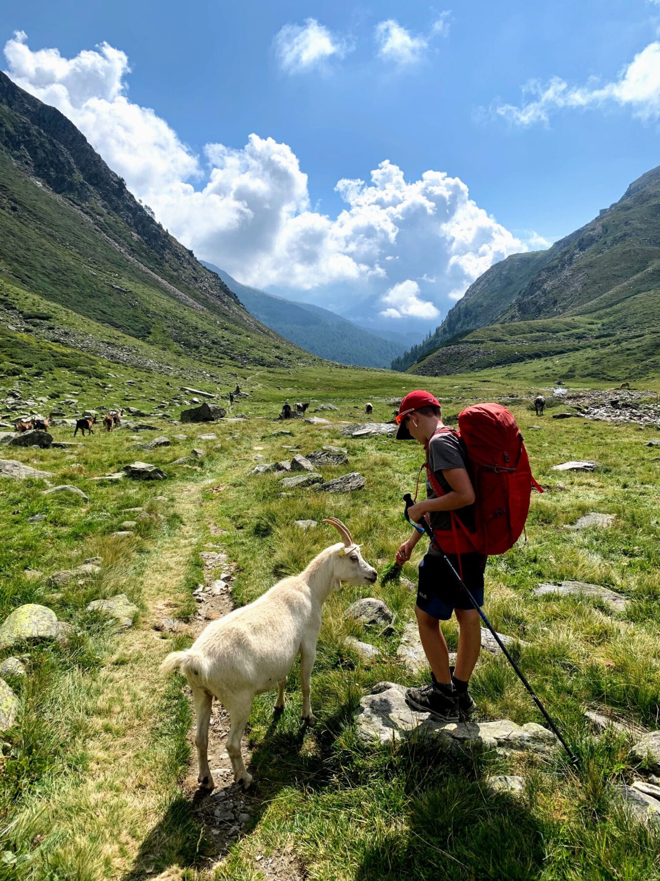alpenueberquerung_mit_kindern_tag_8_timmelsjoch_pfandleralm_