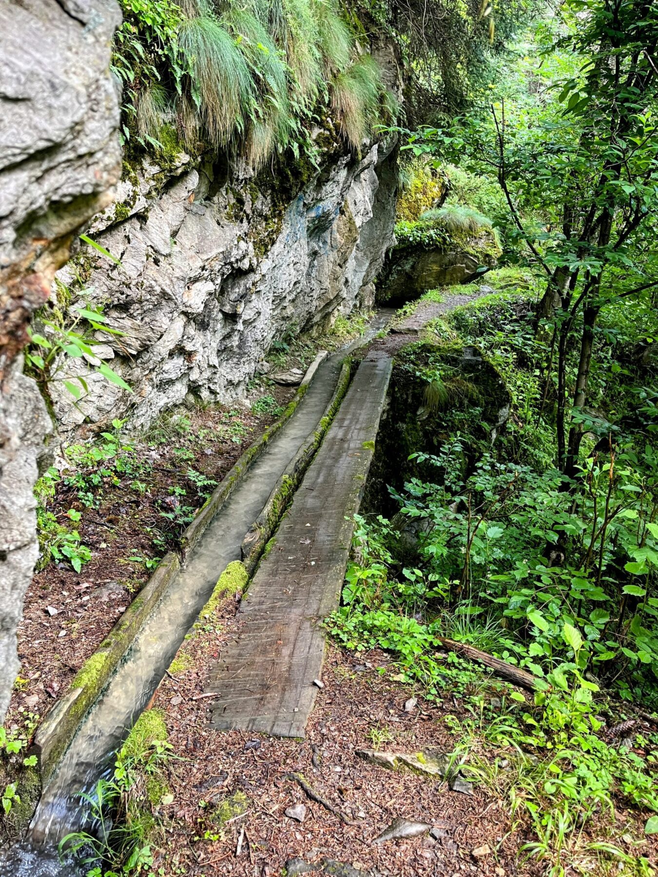 wanderung_niwaerch_suone_