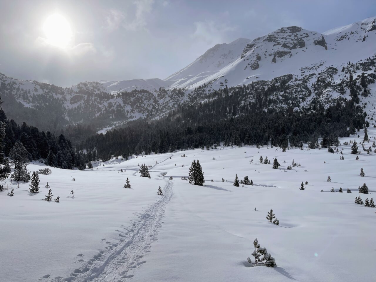 schneeschuhtour_buffalora_