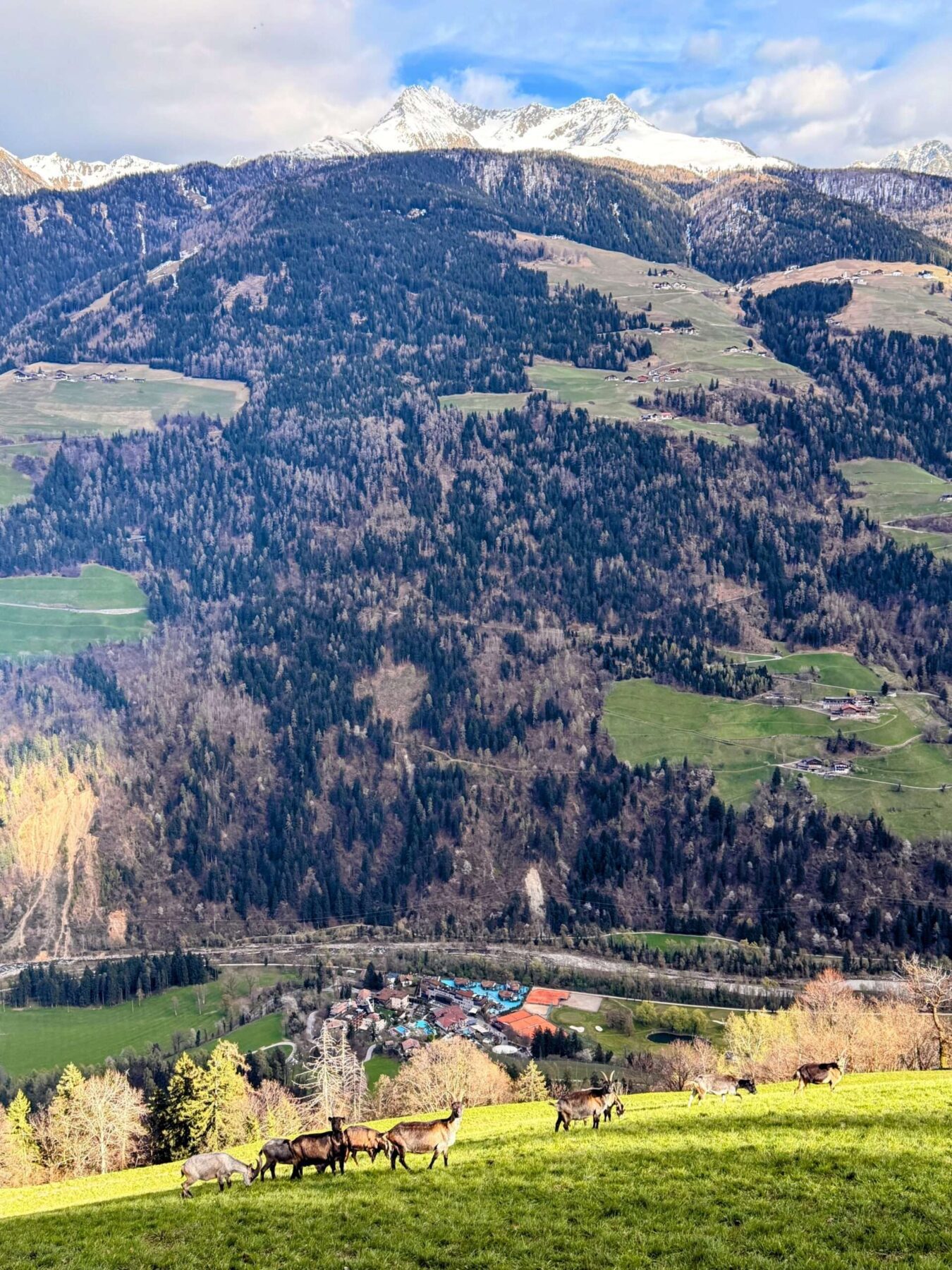 wanderung_Meraner_hoehenweg_hochmuth_mutthoefe_longfall_saltaus_