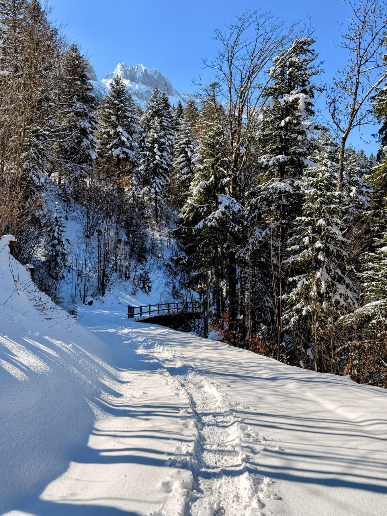 schneeschuhtour_lehmen_kronberg_chammhaldenhuette_schwaegalp__IMG_1298