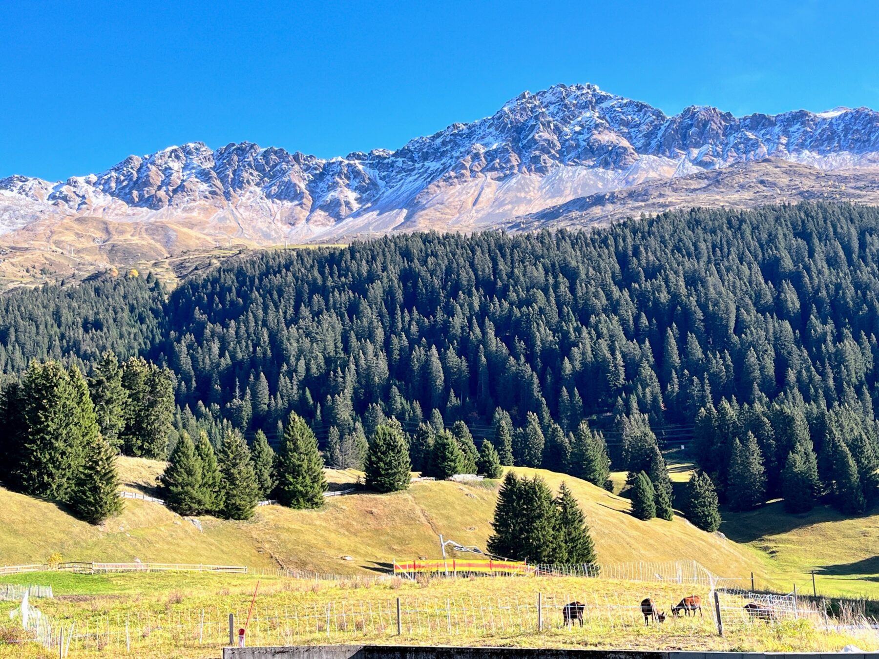 wanderung-via-sett-lenzerheide-churwalden-