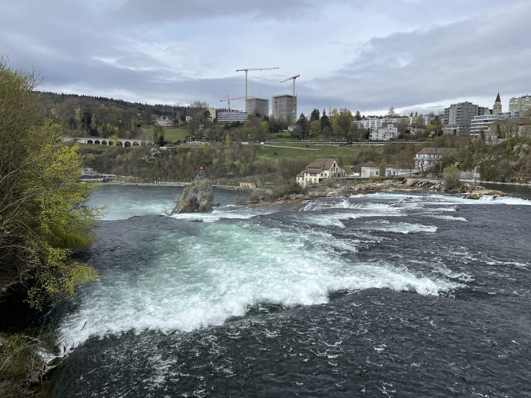 wanderung_rheinau_rheinfall_schaffhausen_