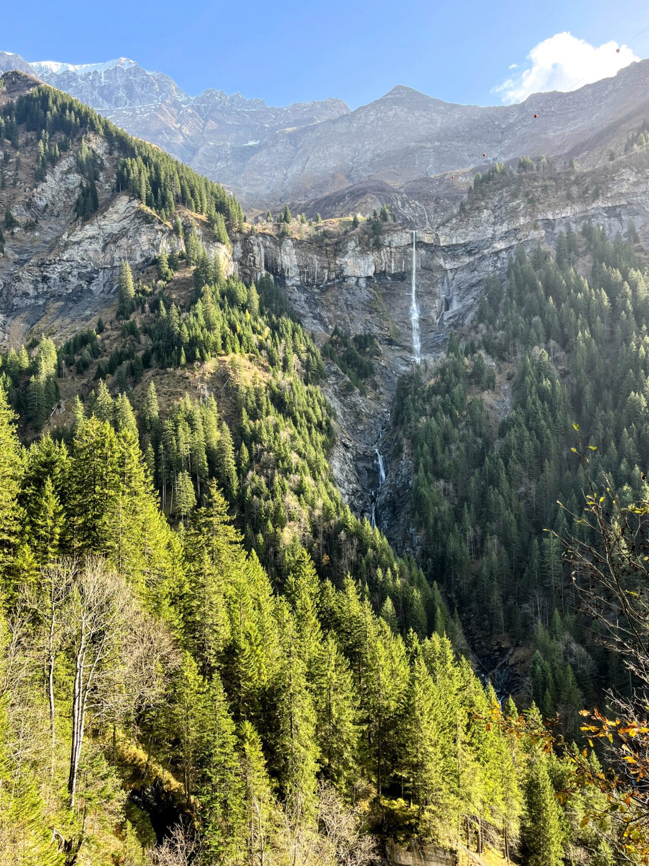 via_alpina_etappe_3_weisstannen_elm_