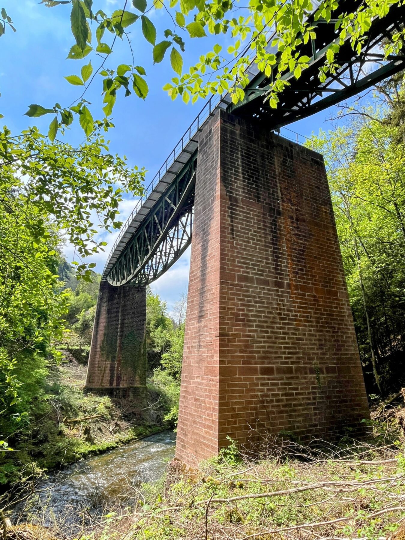 wanderung_schluchtensteig_schwarzwald_