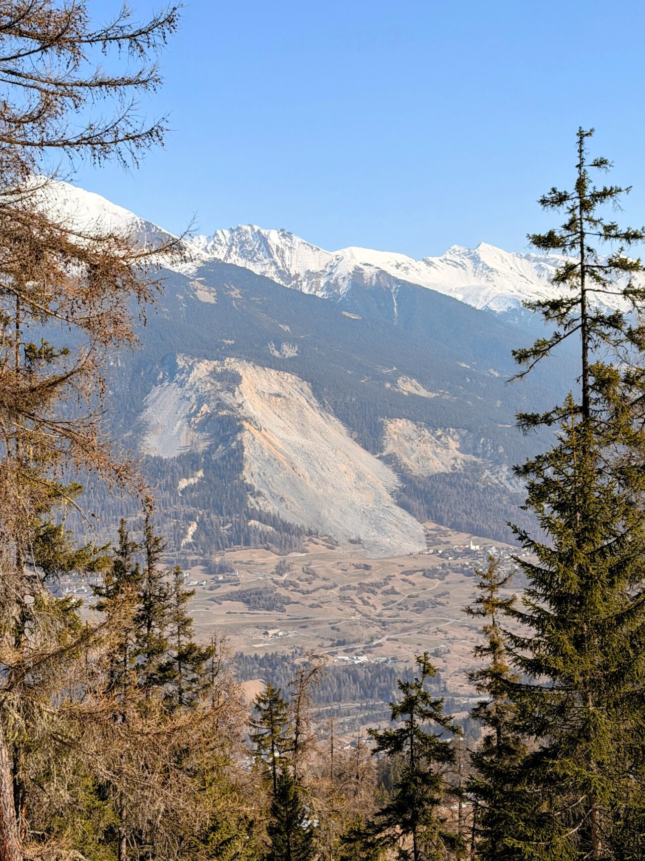 schneeschuhsafari_graubuenden_salouf_munter__IMG_0647