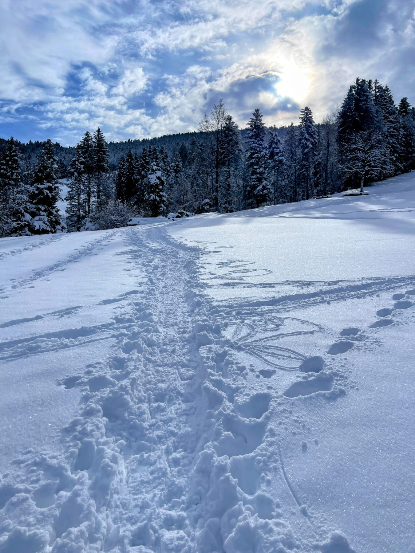 schneeschuhwanderung_atzmaennig_chruezegg_