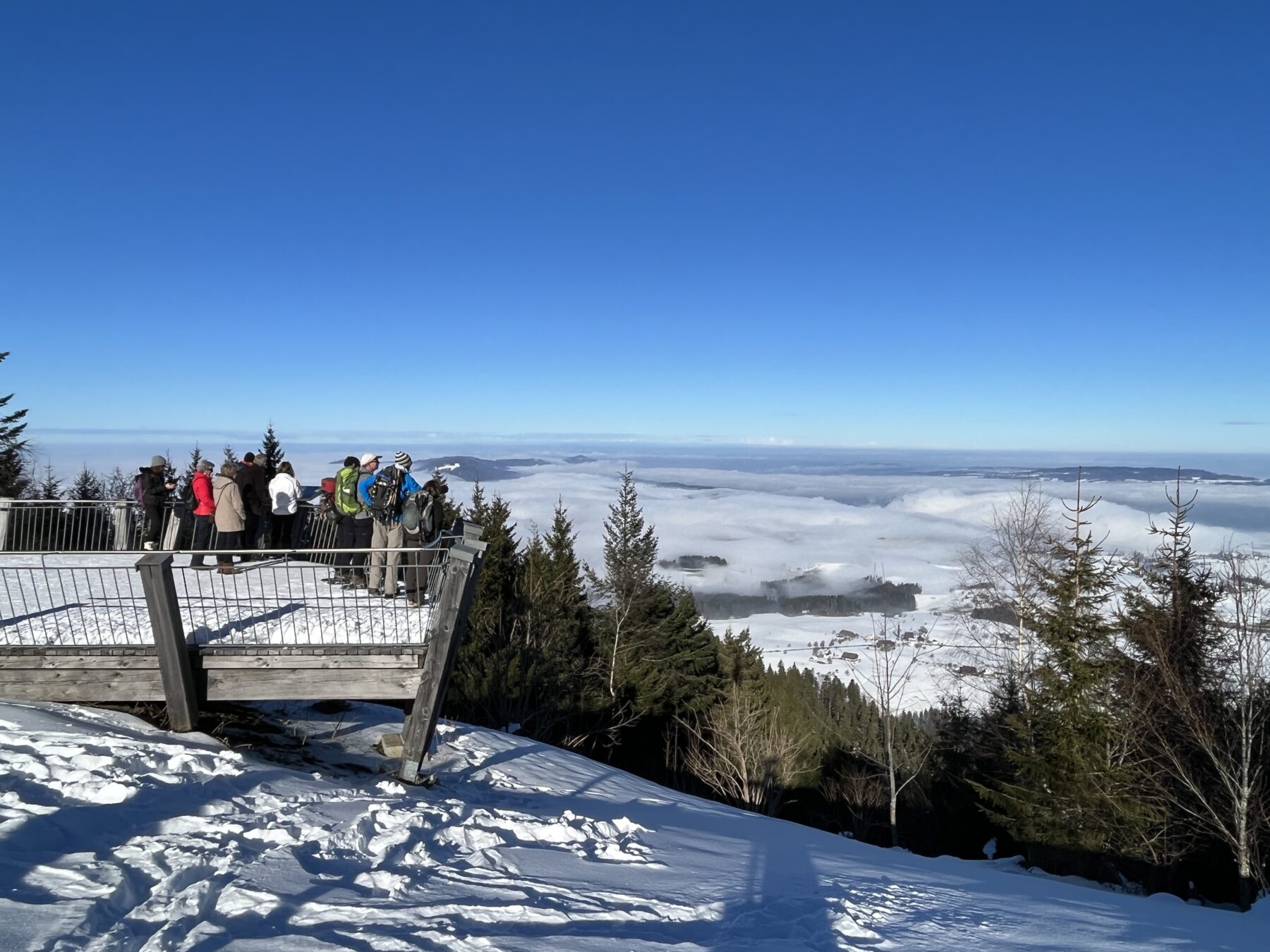 schneeschuhwandern_gottschalkenberg_