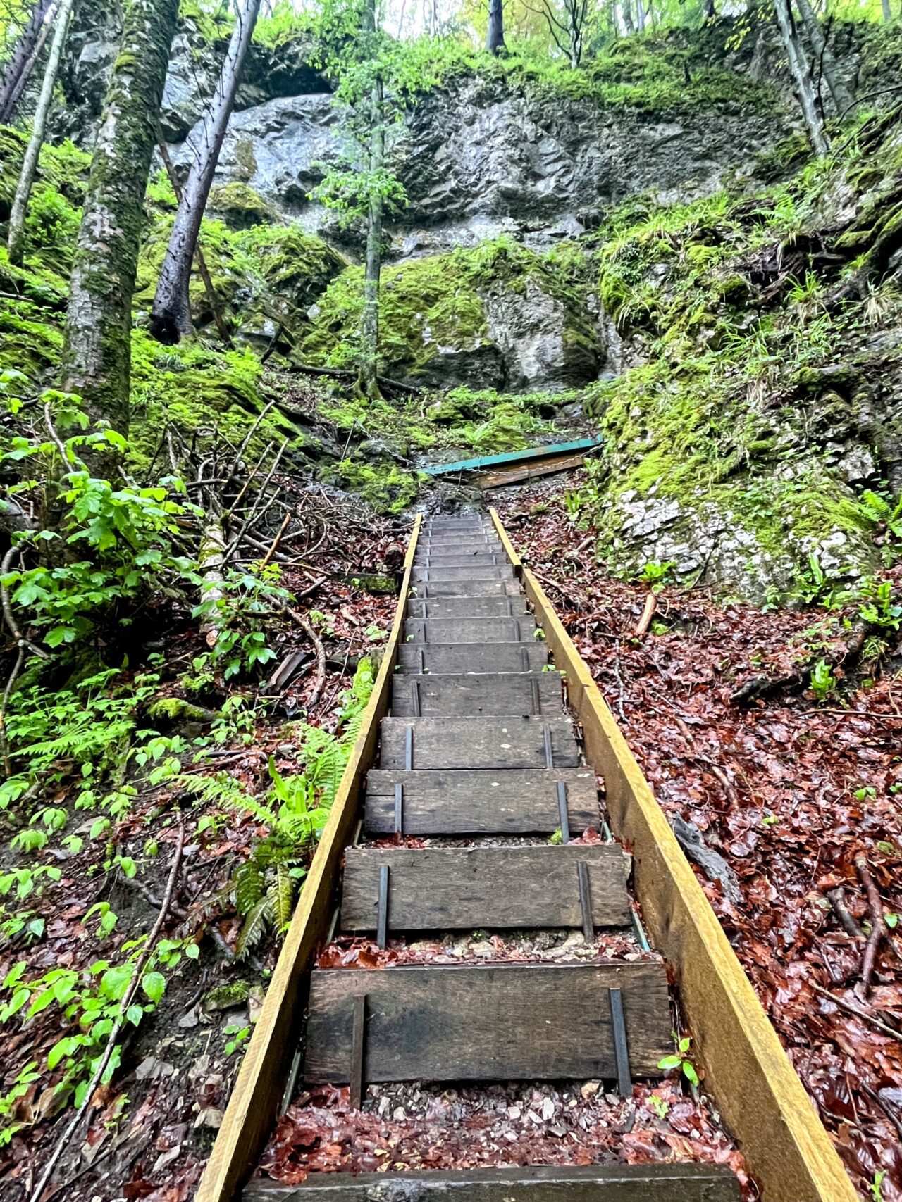 wanderung_hintere_unteriberg_stoos_fronalpstock_