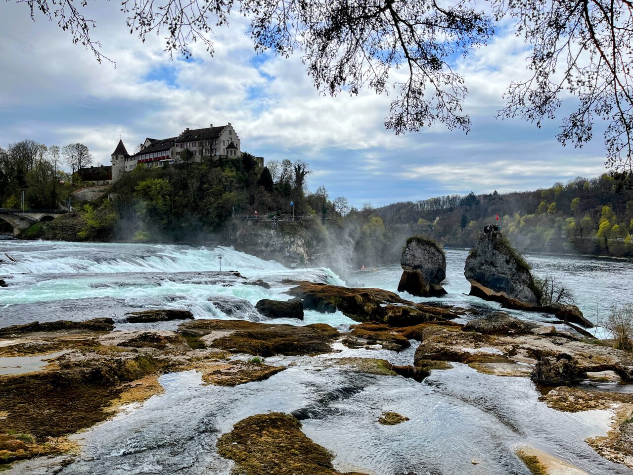 wanderung_rheinau_schaffhausen_