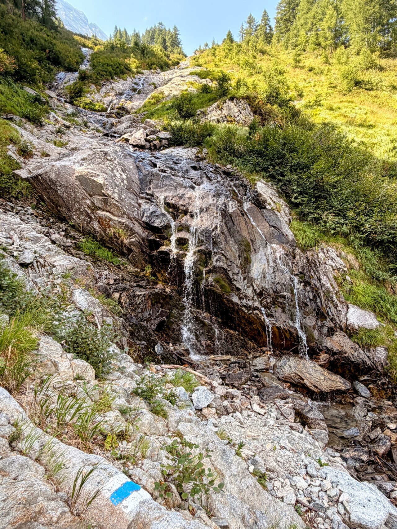 wanderung_sentiero_alpino_bregaglia_sasc_furae_huette_bondo__IMG_0588