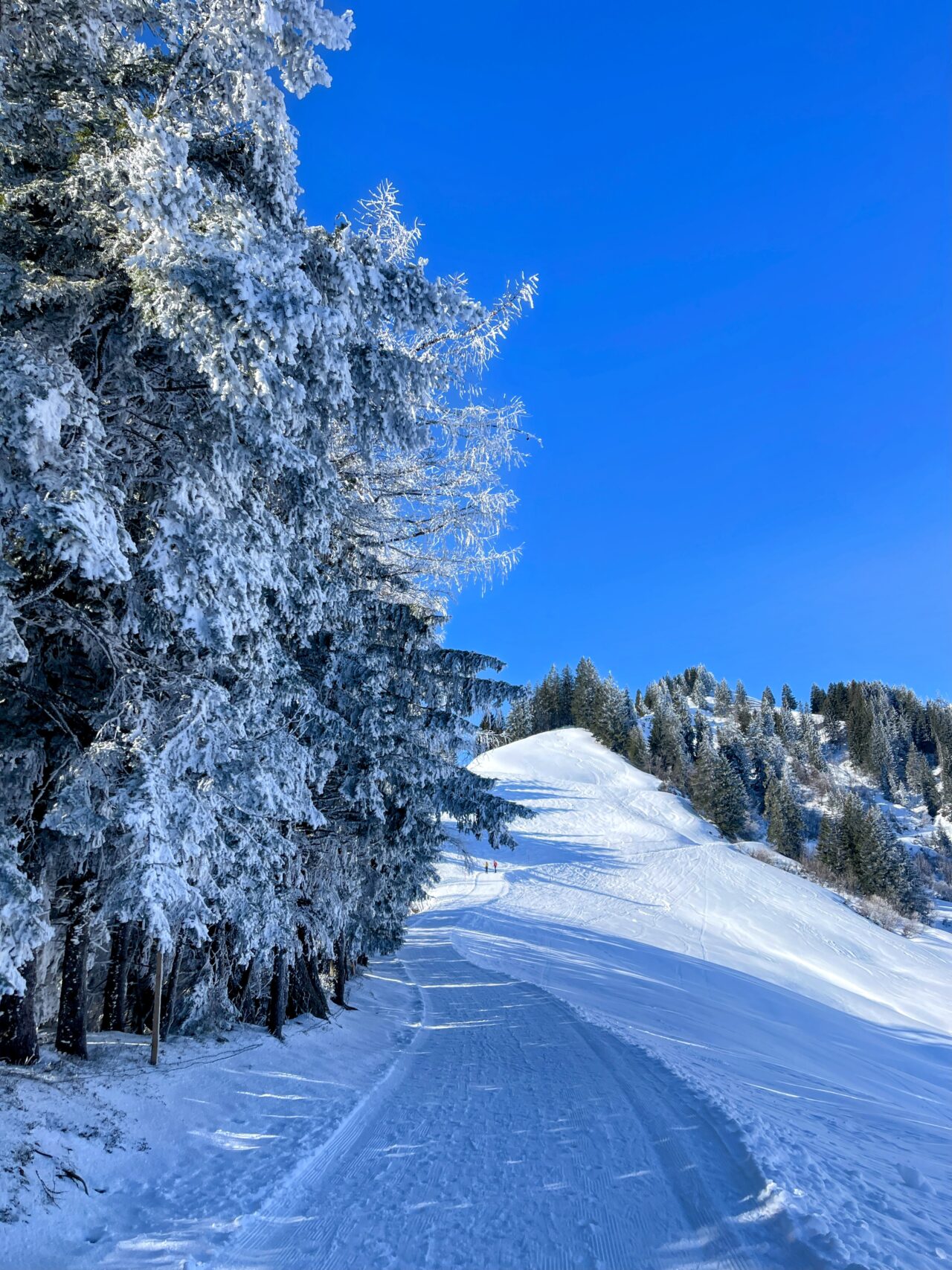 schneeschuhwanderung_turren_schoenbuehl_hoech_gumme_