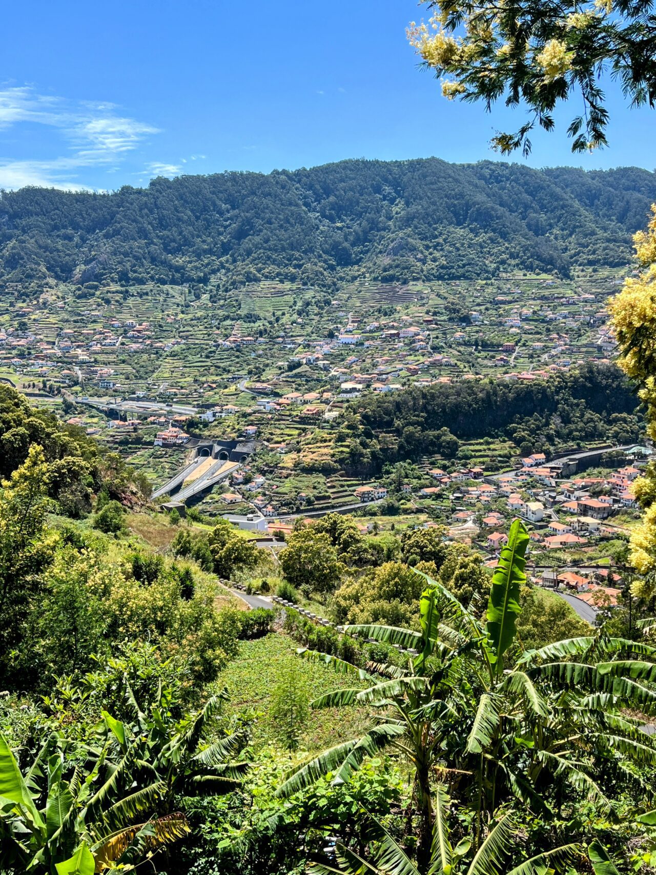 wanderung_madeira_porto_da_cruz_machico_
