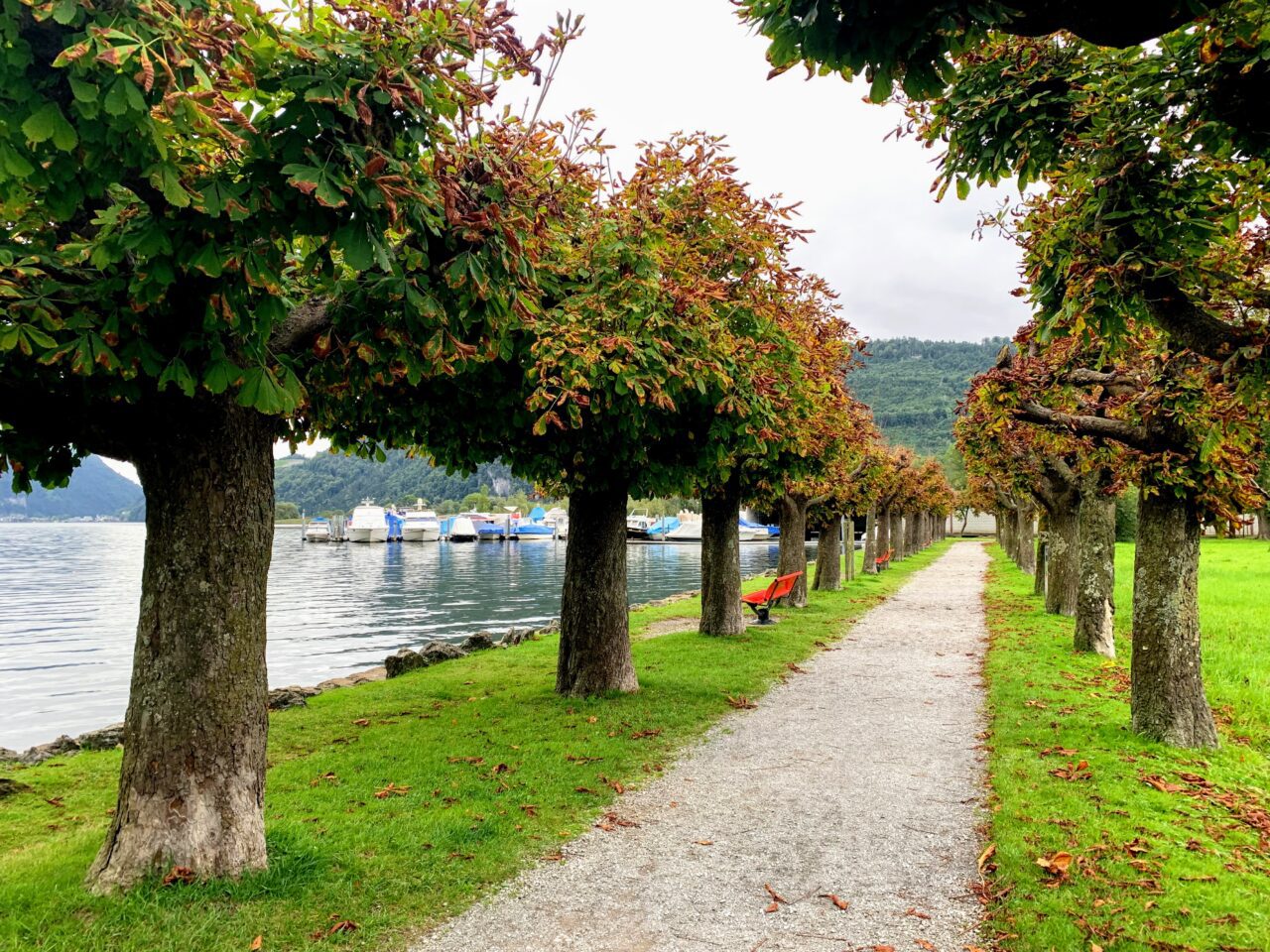 wanderung_vierwaldstaettersee_alpnachstad_ennetbuergen_