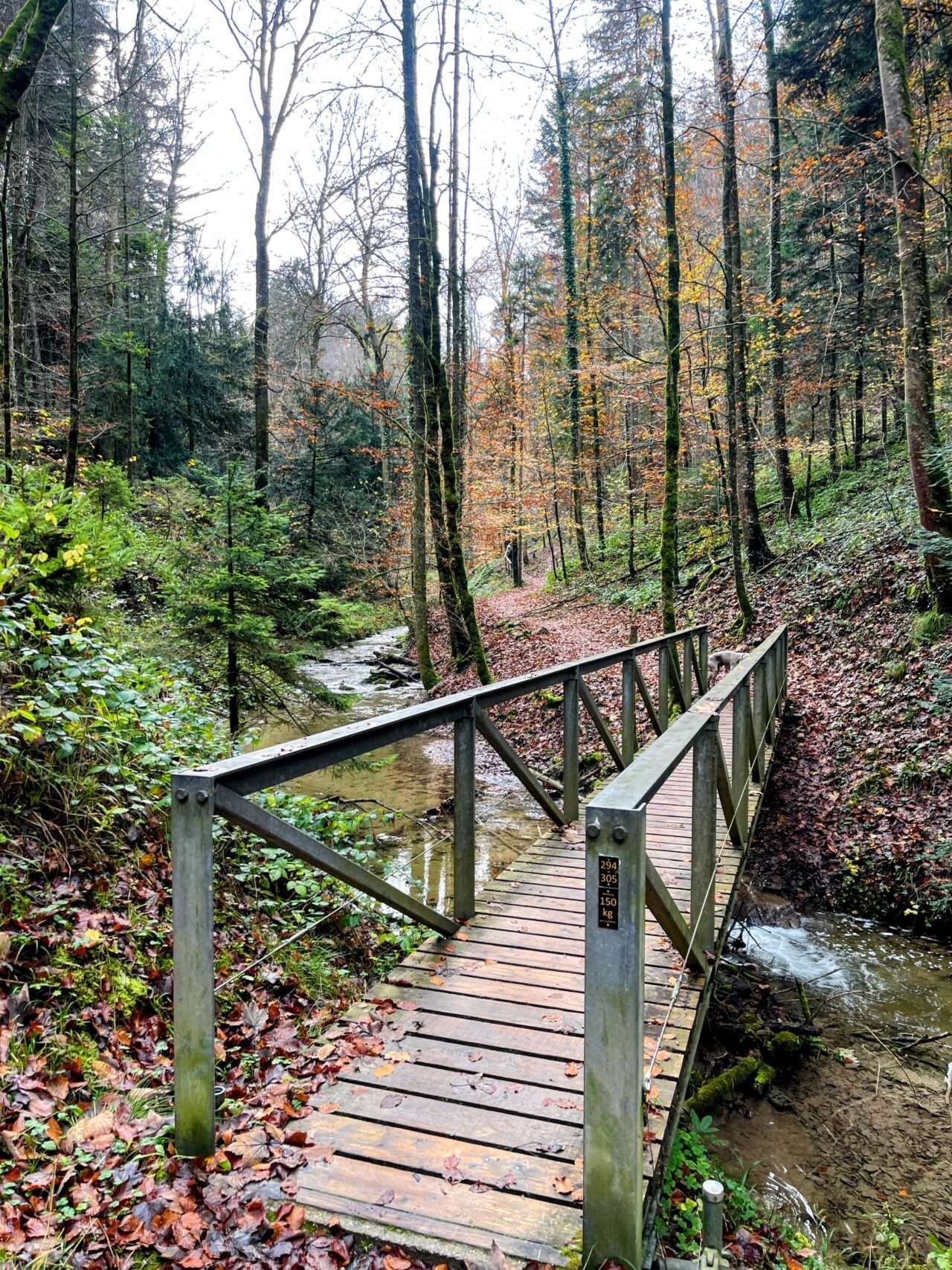 wanderung_schauenberg_