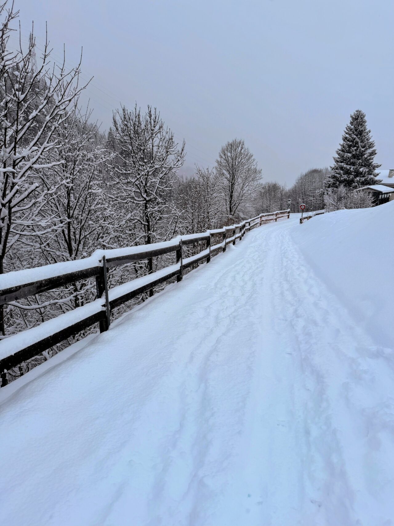 schneeschuhwanderung_klosters_schlappin_