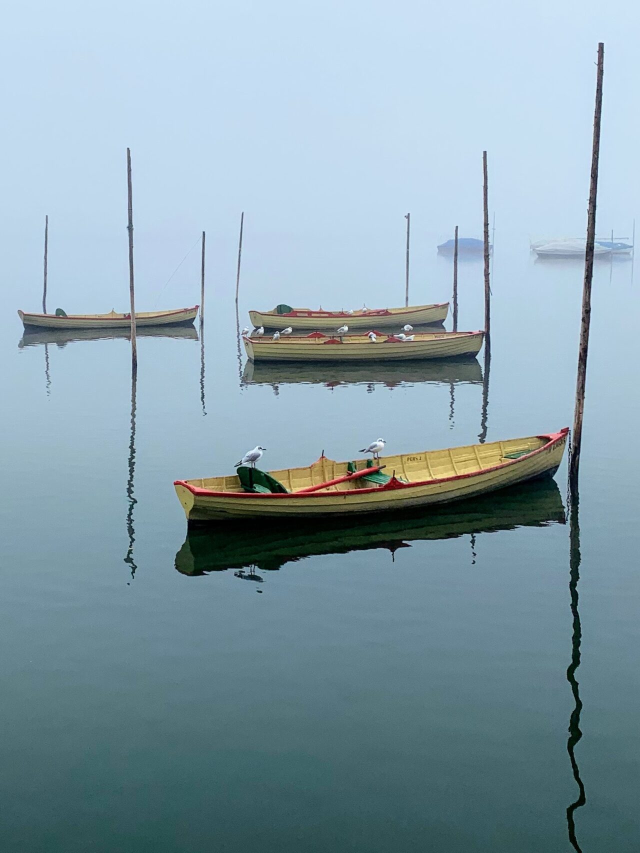 umrundung_pfaeffikersee_