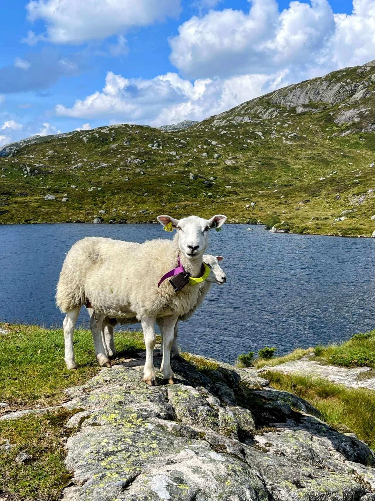 wanderung_eikeskog_blafjellenden_