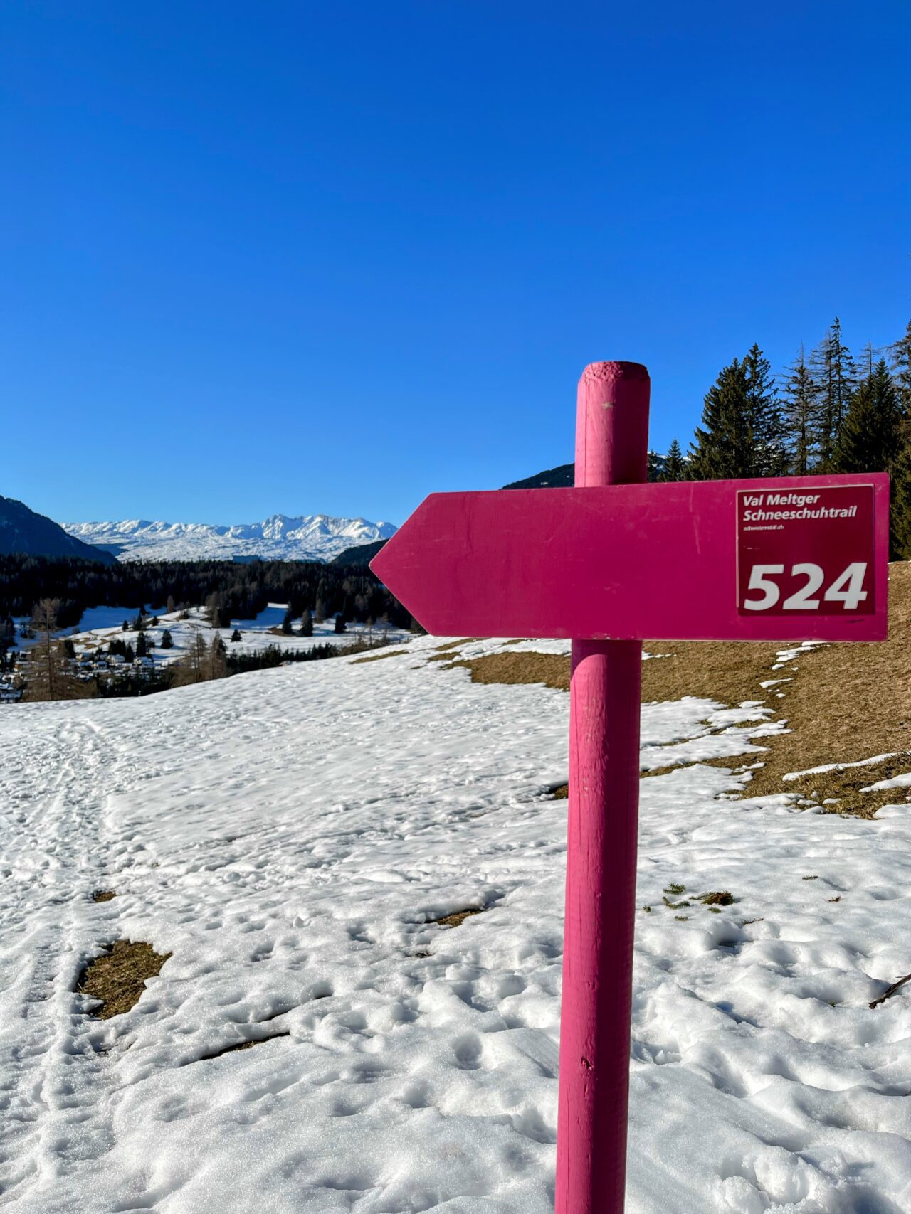 schneeschuhwandern_lantsch__IMG_0305 (Kopie)
