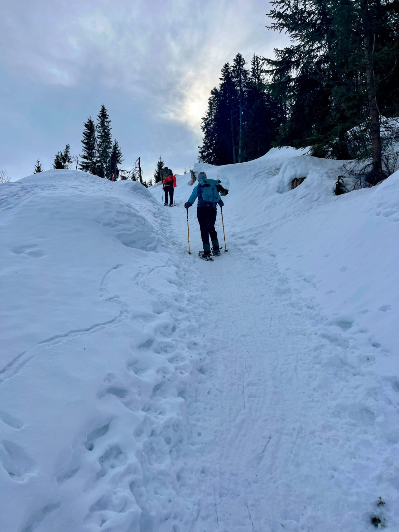 schneeschuhwanderung_grüsch_furna__IMG_4203