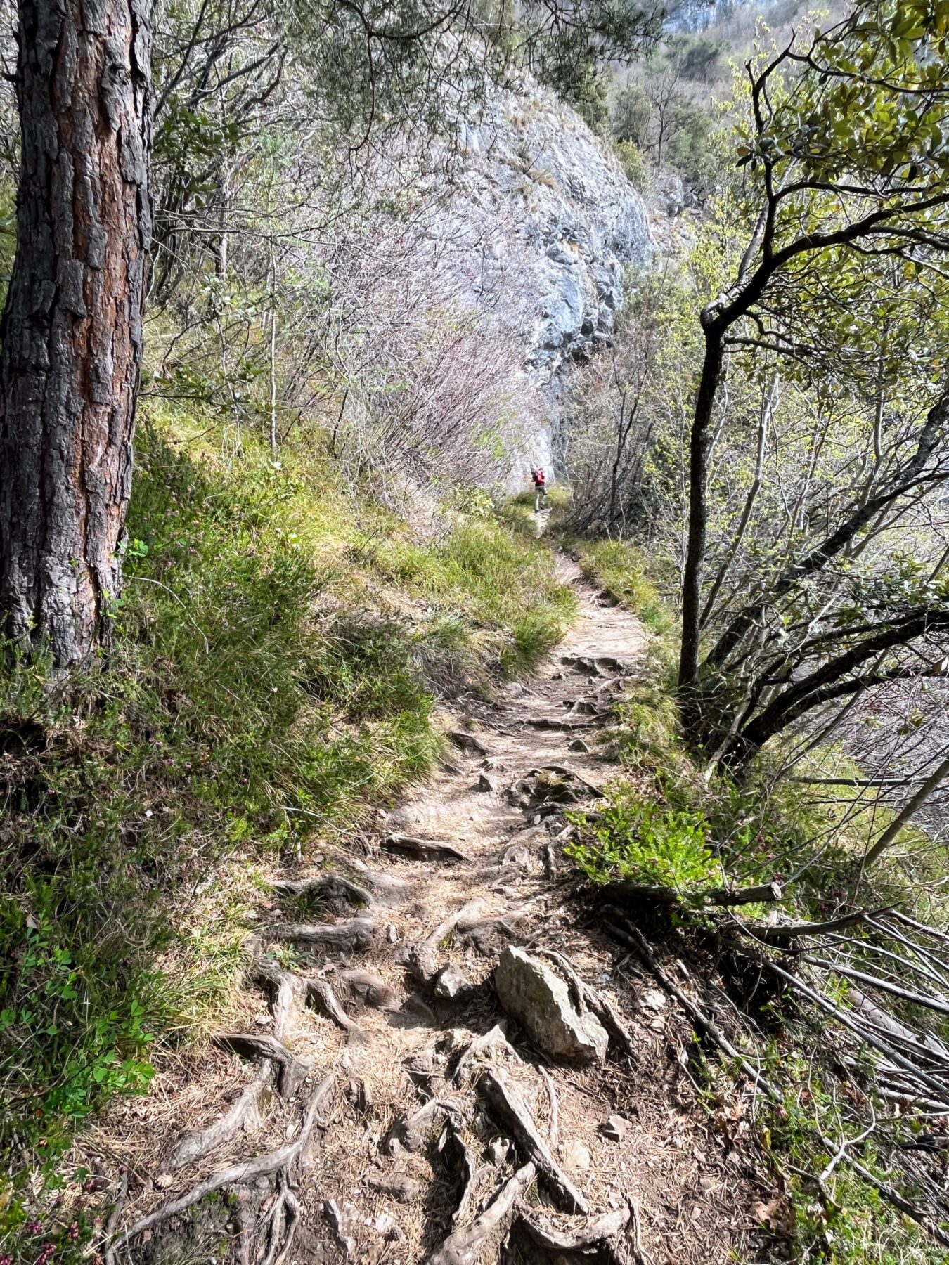 klettersteig_cima_capi_