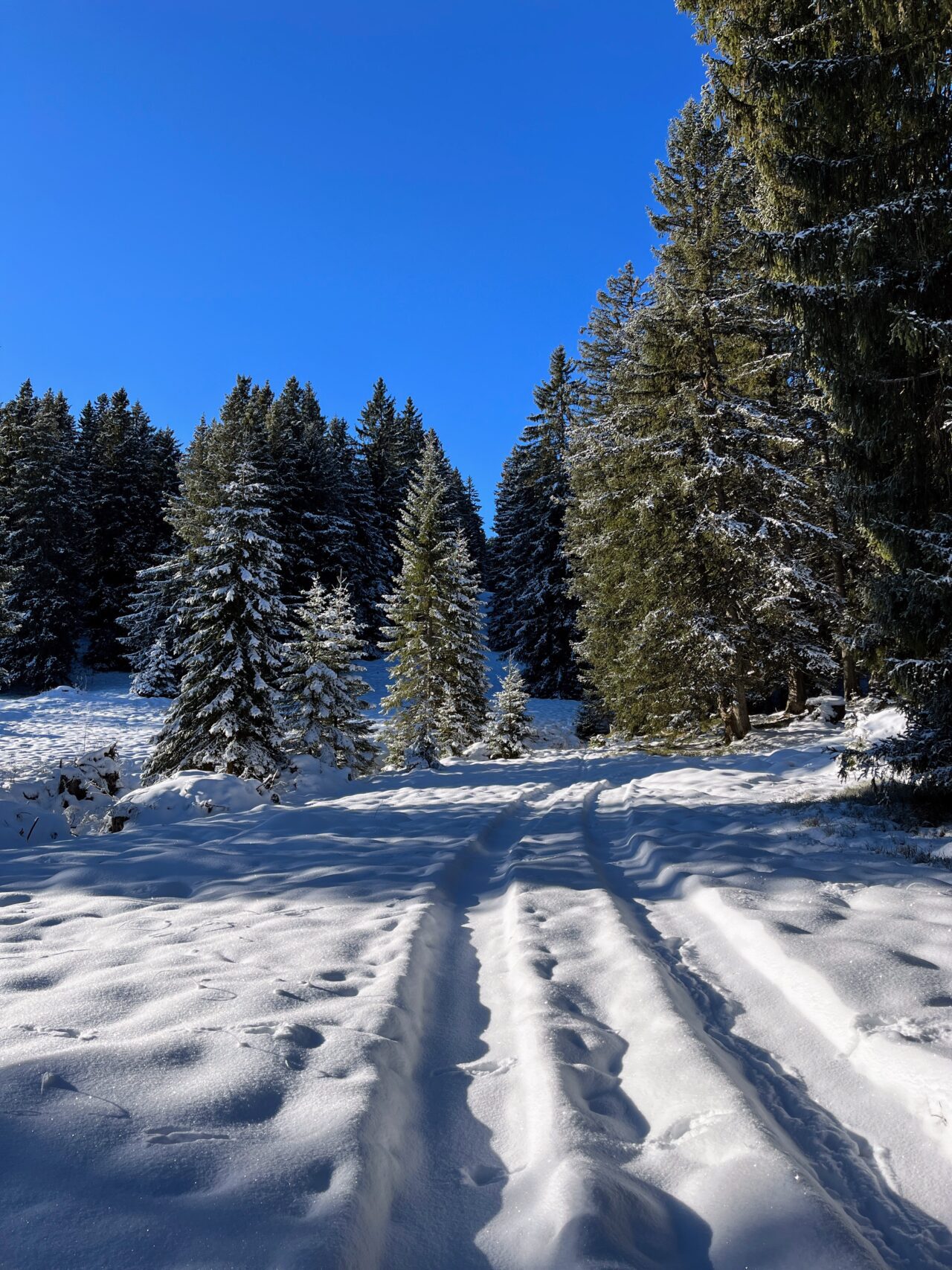 schneeschuhwandern-flumserberg-_IMG_7883