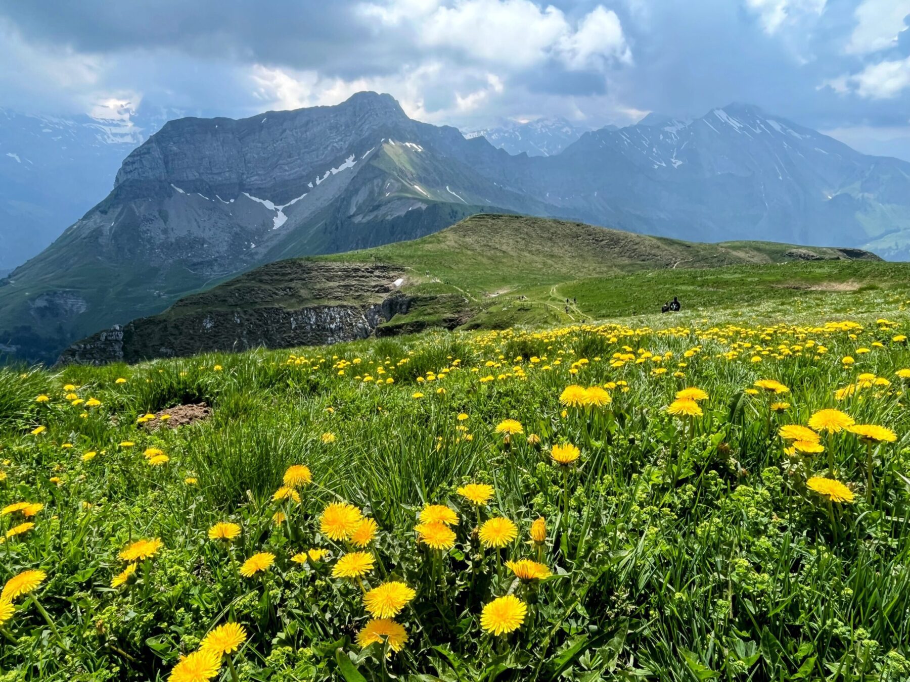 wanderung_niederbauen_chulm_