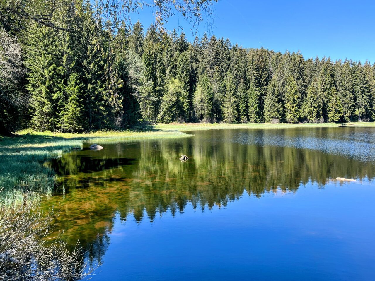 wanderung_schluchtensteig_schwarzwald_