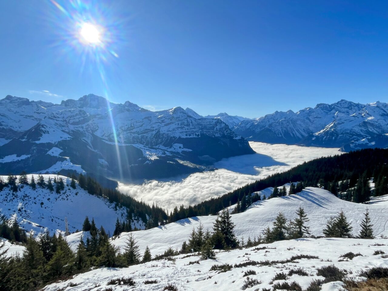 Schneeschuhe_winterwandern_eggberge_hueenderegg_ratzi__IMG_5653