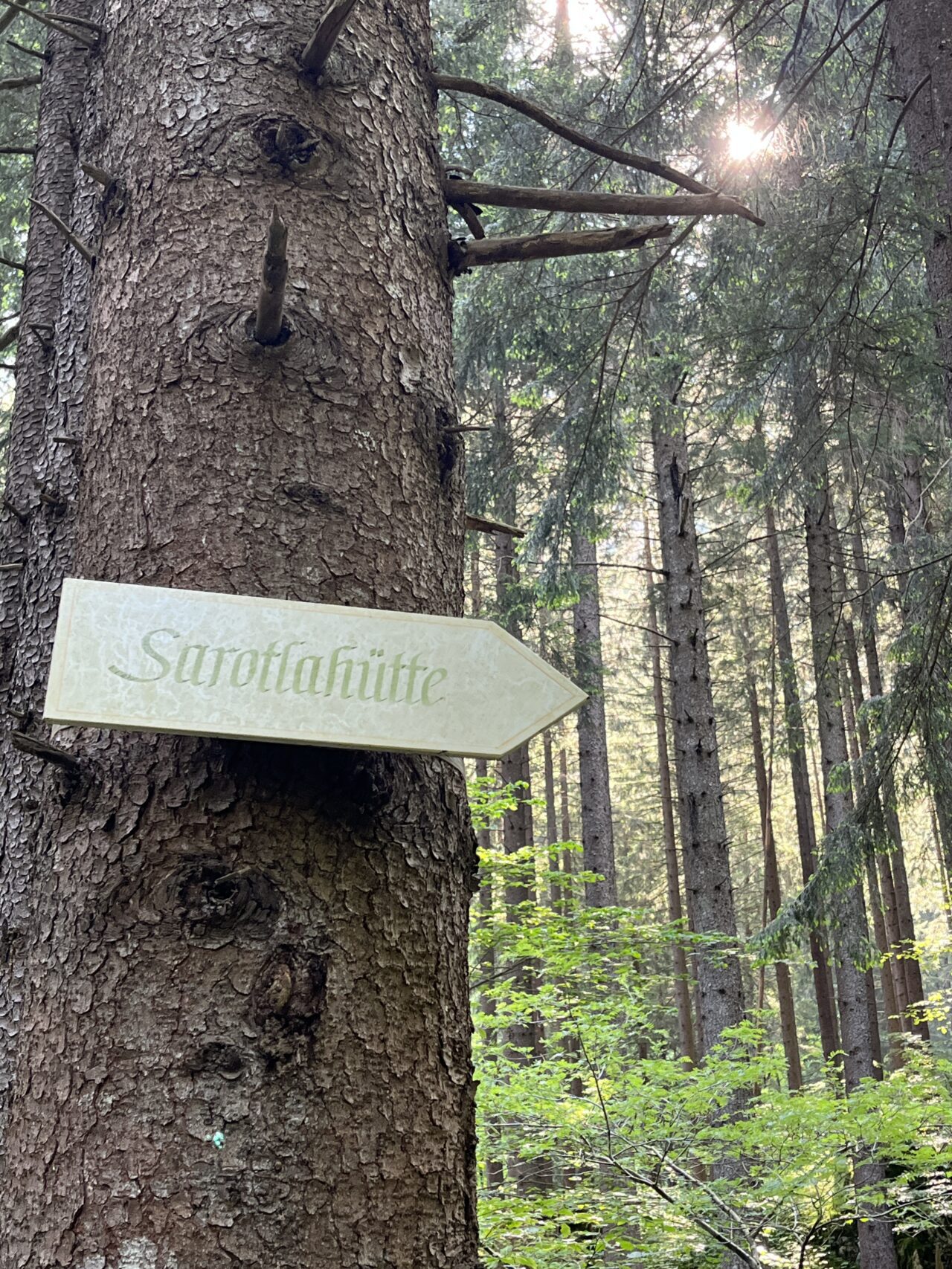 wanderung_sarotlahütte_