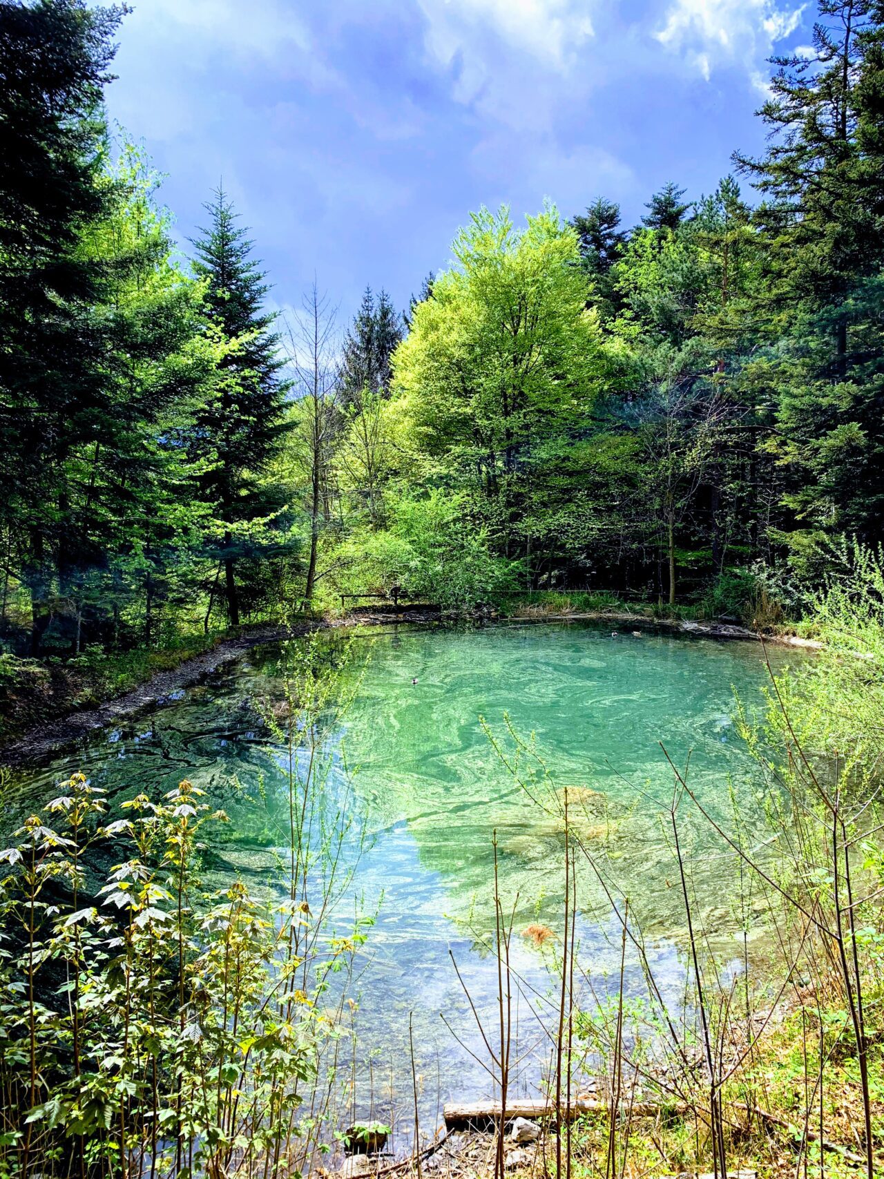 wanderung_enderlinhuette_