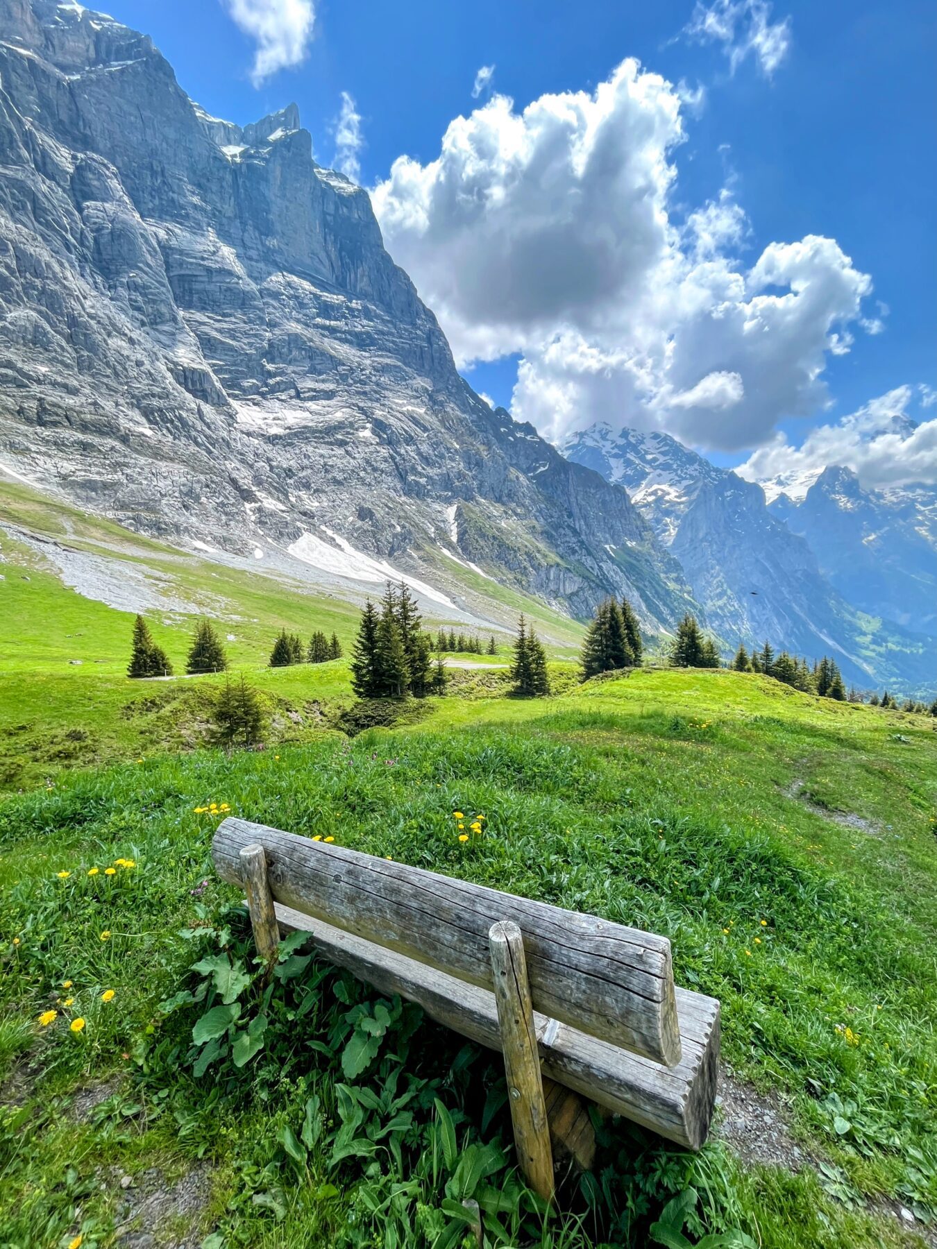 wanderung_via_alpina_meiringen_grindelwald_