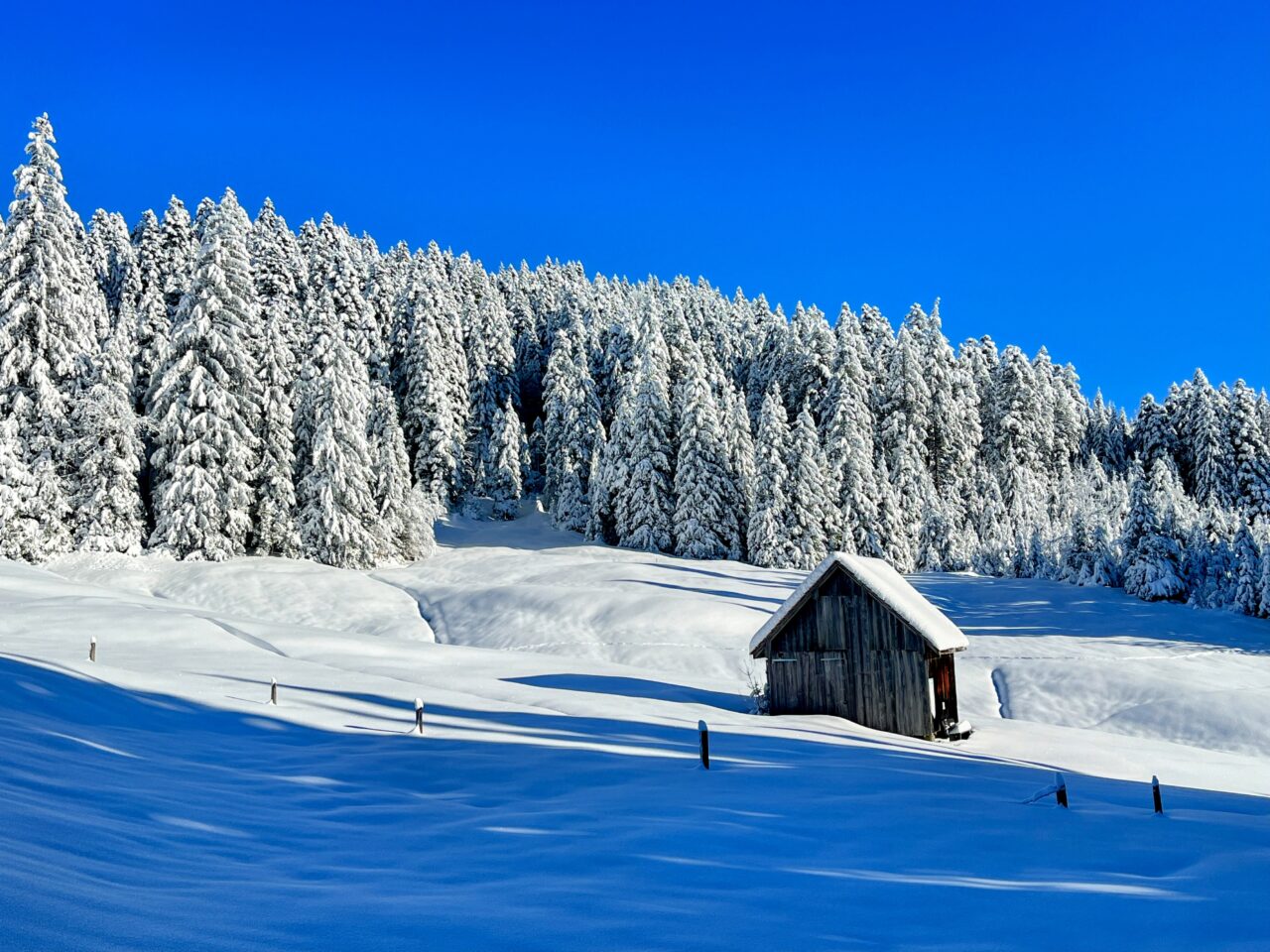 schneeschuhwanderung_rothenthurm_ahoren_biberbrugg__IMG_2349