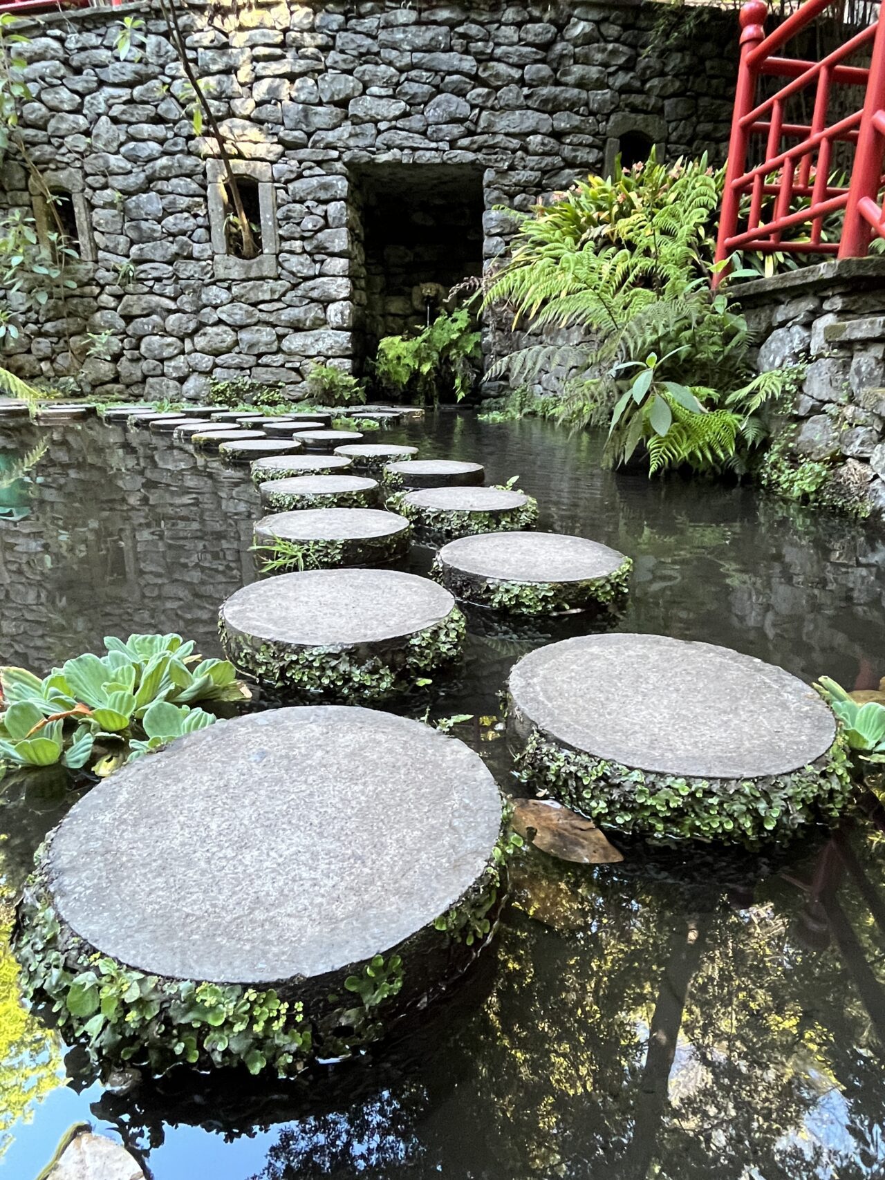 wanderung_monte_botanischer_garten_funchal_