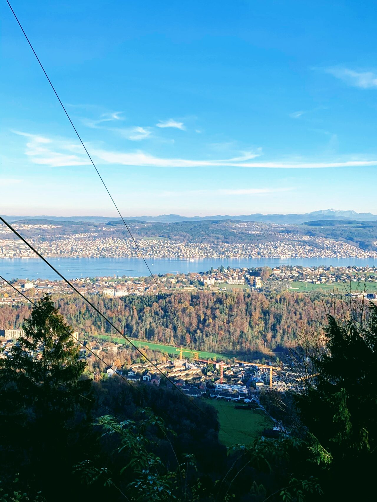 wanderung_Felsenegg_uetliberg_albisgrat_
