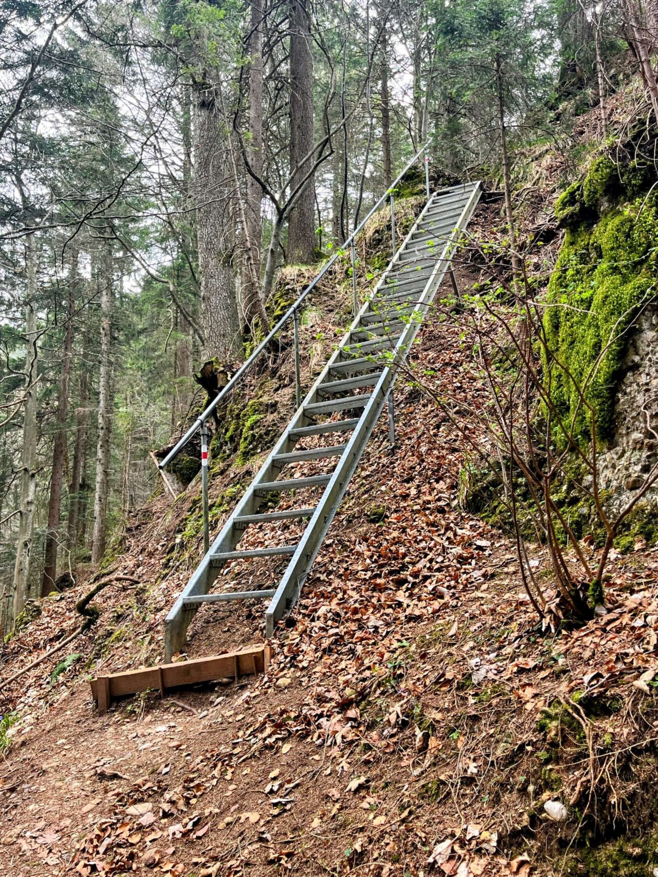 wanderung_weggis_rigi_