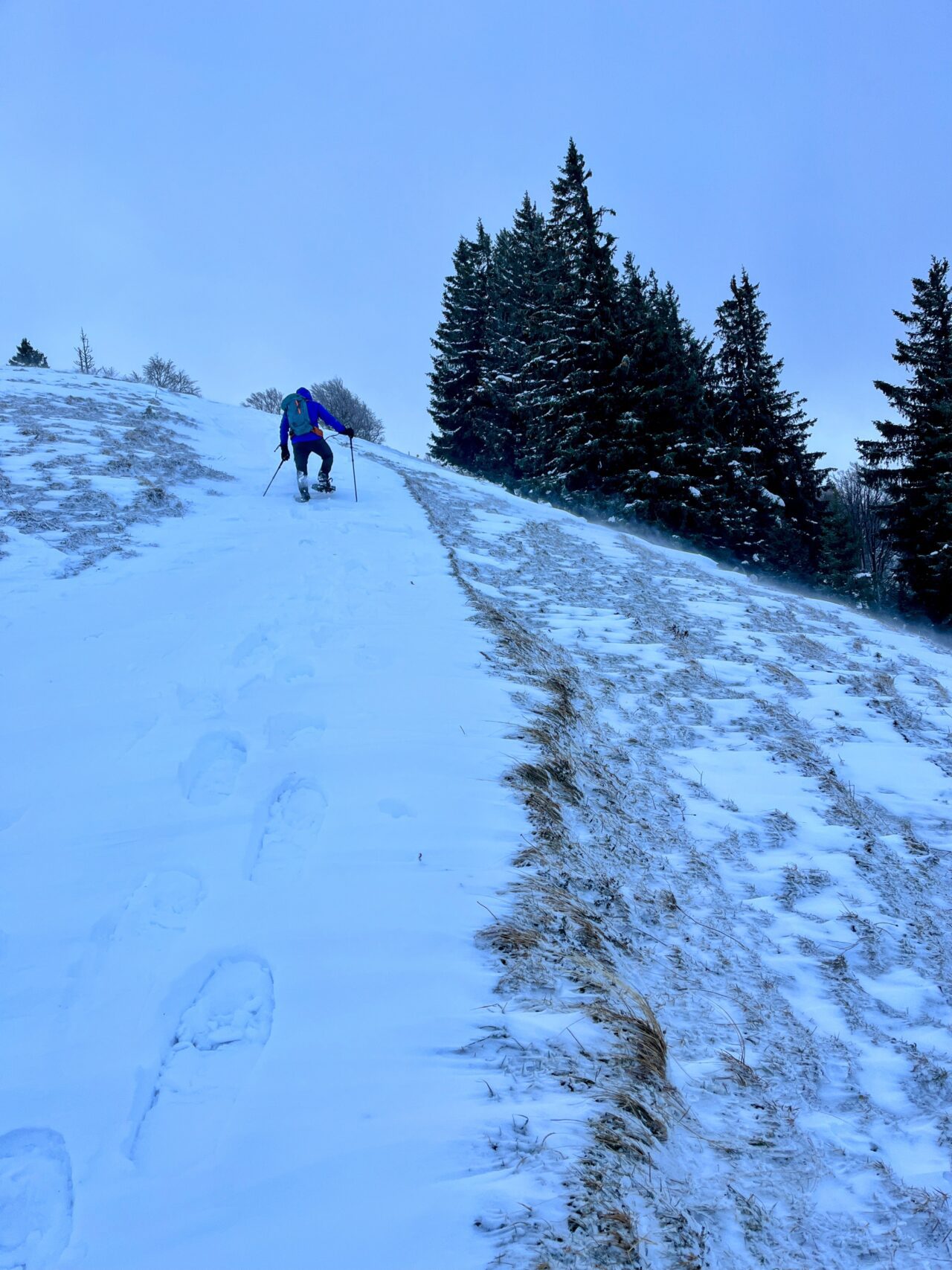 schneeschuhwanderung_schnebelhorn__IMG_2466