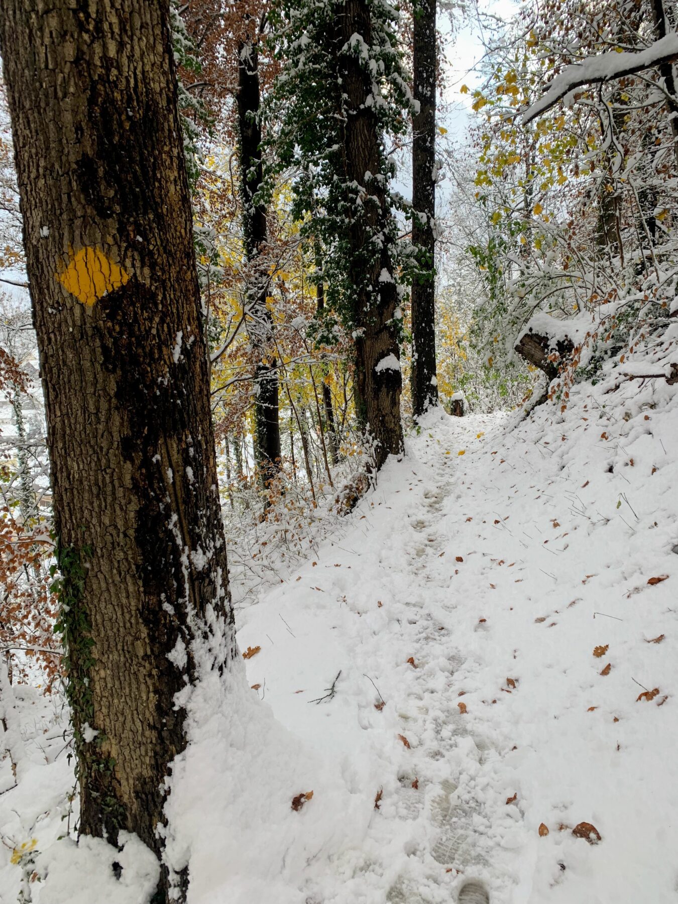 via_alpina_etappe_1_gaflei_sargans_