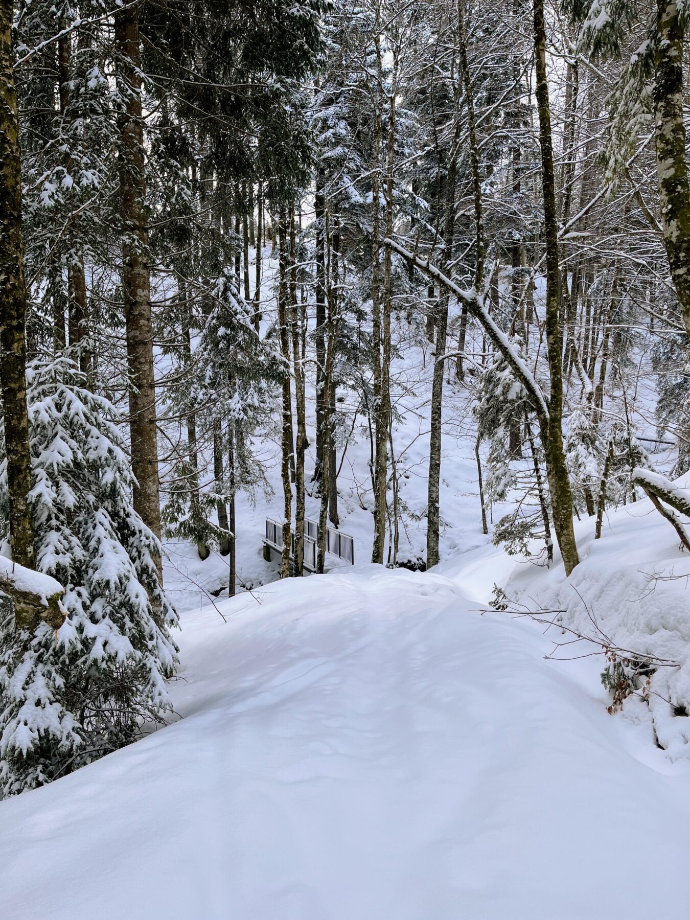 schneeschuhwandern_tanzboden__IMG_1853