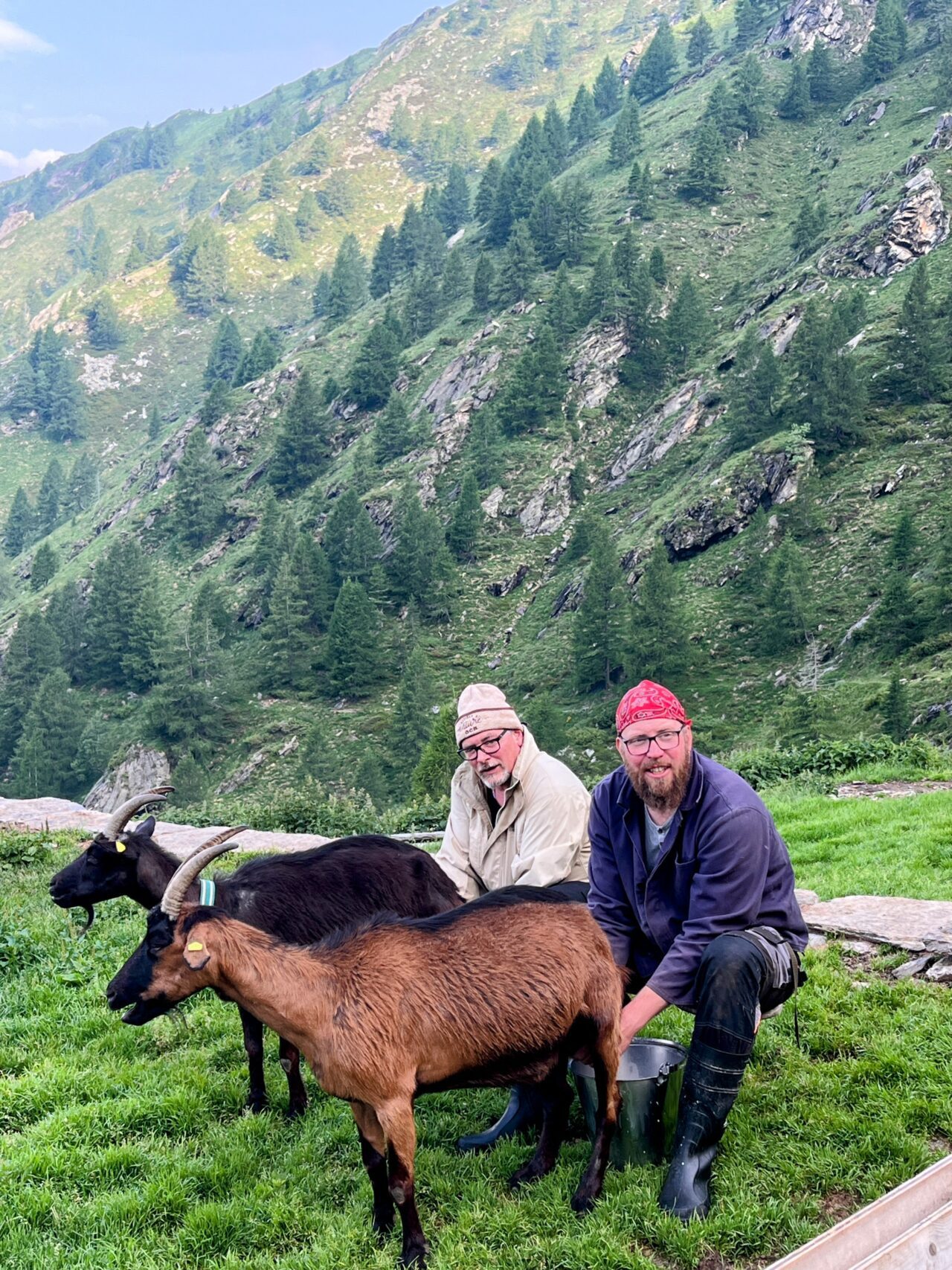 Wanderung_Alta_Via_Vallemaggia_Cimetta_Nimi_Brione_