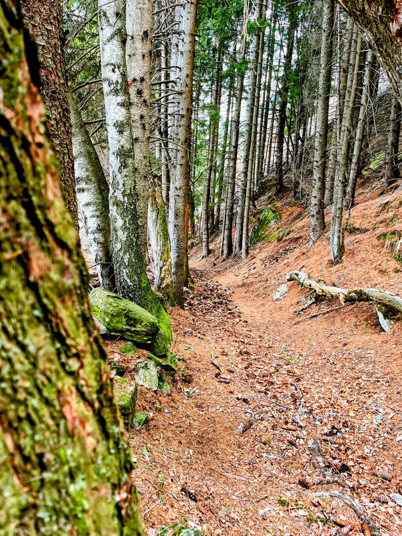 trans-swiss-trail-etappe-25-airolo-osco-