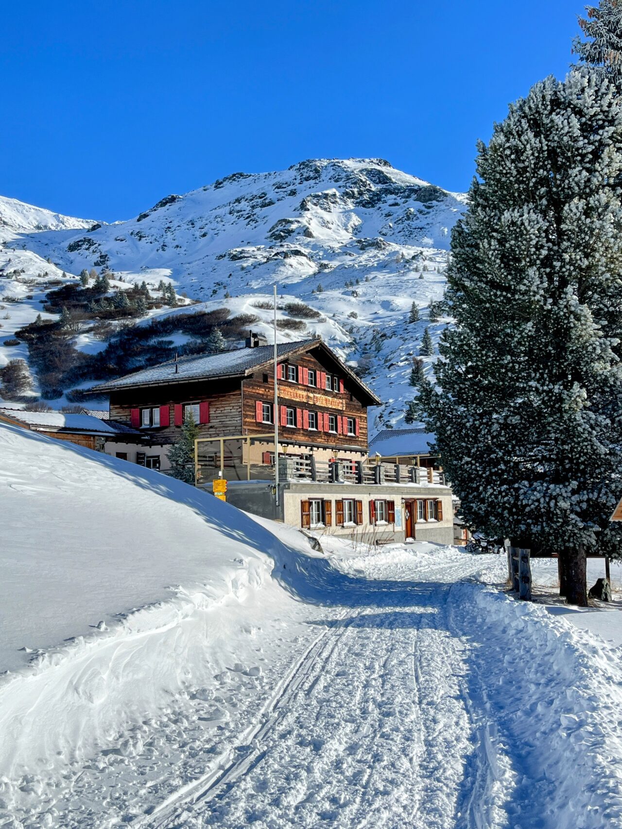 schneeschuhtour_alp_flix_573_schweizmobil__IMG_6281